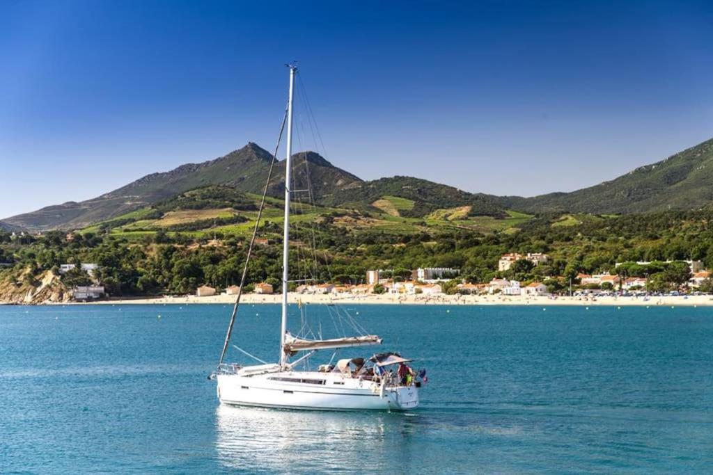 "Les Bambous" Studio Cosy Climatise Au Calme De 37 M2 Parking Gratuit A Argeles Sur Mer Luaran gambar
